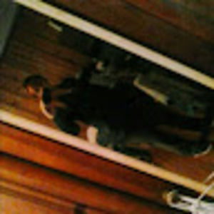 Meet your Posher, Ginny